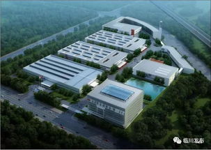 砥礪奮進 全市縣域經濟發展大巡察深入臨川管理