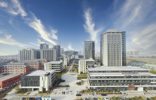 合肥廬陽區 全力以赴抓項目謀新篇，力促園區資產投資與管理穩中求進
